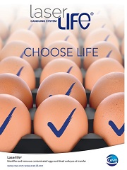 Small_LaserLife brochure